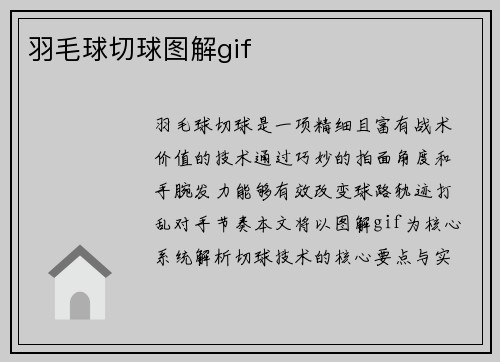 羽毛球切球图解gif