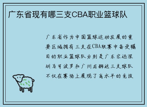 广东省现有哪三支CBA职业篮球队